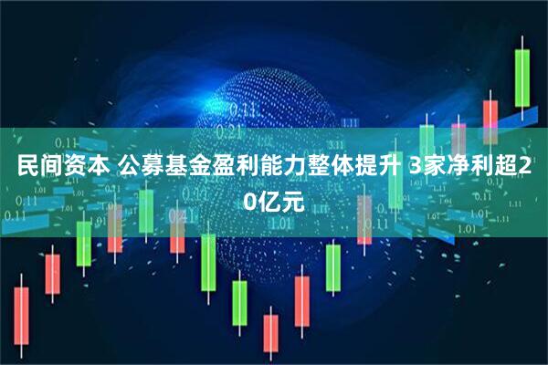 民间资本 公募基金盈利能力整体提升 3家净利超20亿元